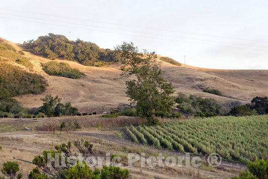 California Photo - Beautiful Scenes Along Route 46 in California