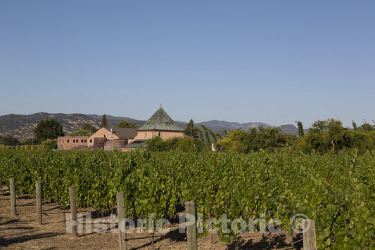 Napa Valley, CA Photo - Peju Winery, Established in 1982. California