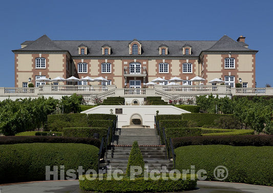 Napa, CA Photo - Domaine Carneros Vineyard, Napa, California