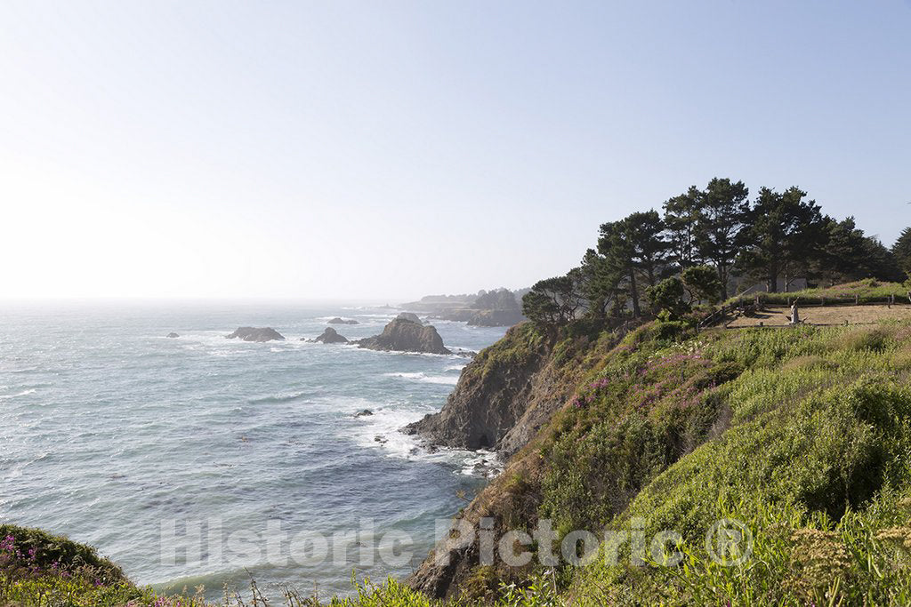 California Photo - Pacific Ocean Views in Northern California