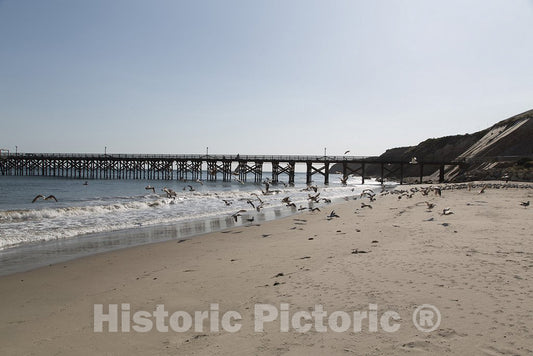 Santa Cruz, CA Photo - Beach near Santa Cruz, California