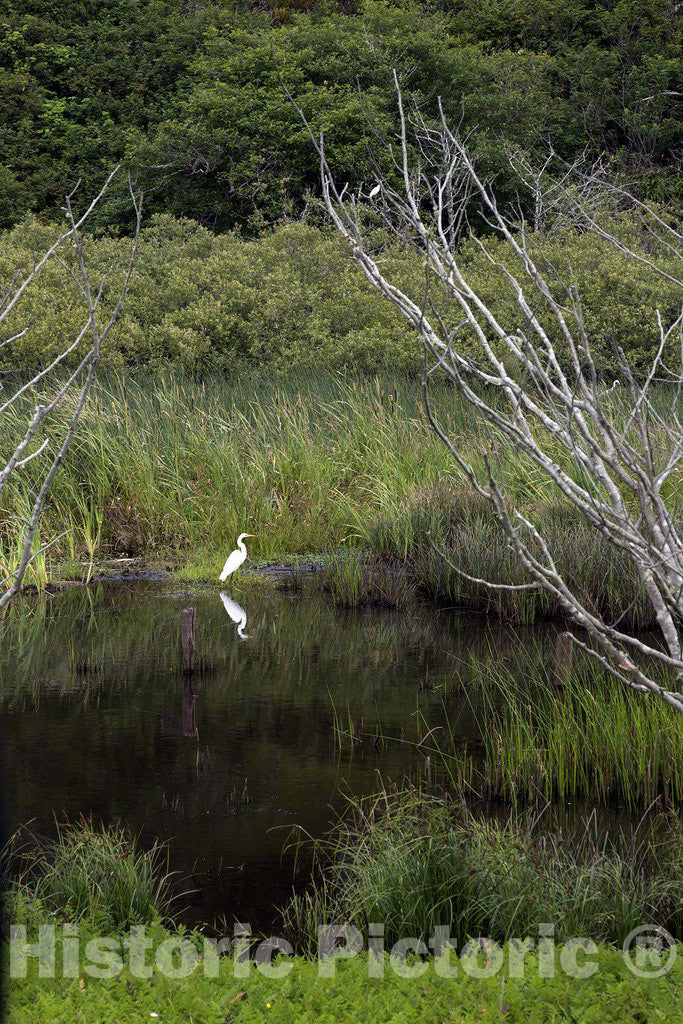 California Photo - Lagoon in Northern California