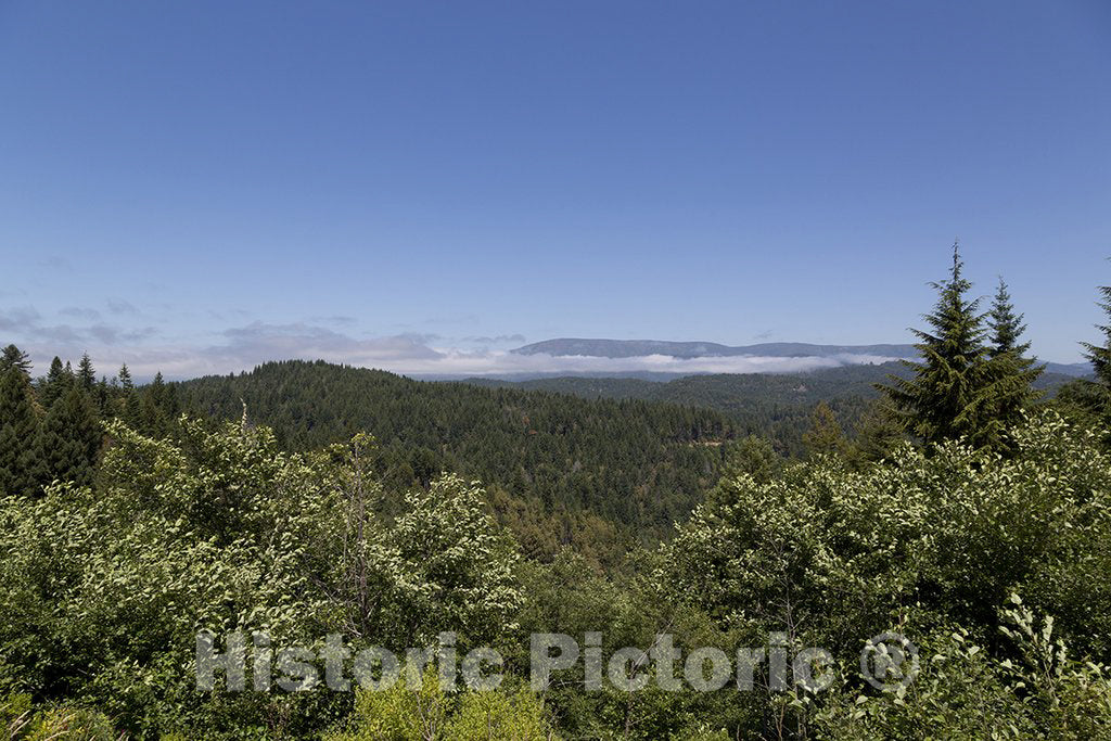 California Photo - View of The Trinity National Forest in Northern California