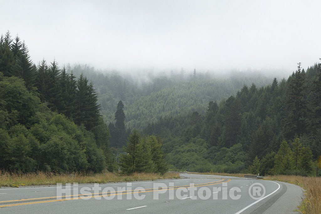 California Photo - Route 101 in Northern California Along The Pacific Coast