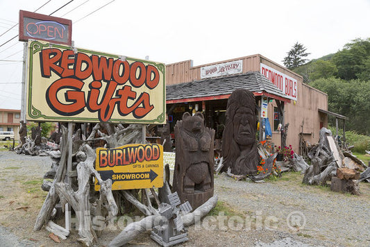 Orick, CA Photo - Burl Art in Northern California