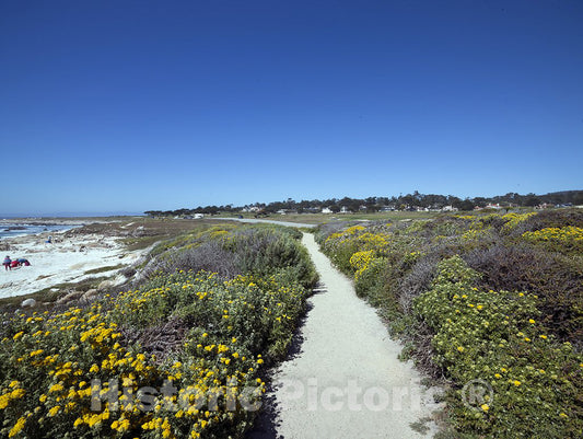 Monterey County, CA Photo - Views from 17-Mile Drive, a Scenic Road Through Pacific Grove and Pebble Beach on The Monterey Peninsula in California