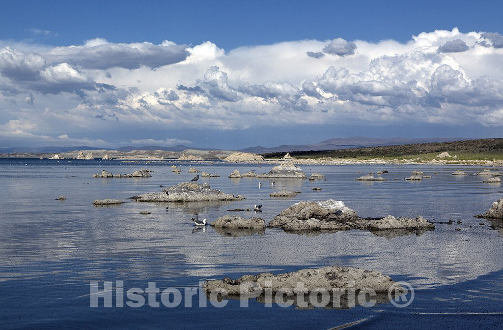 Mono County, CA Photo - Mono Lake, a large, shallow saline soda lake in Mono County, California