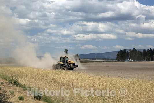 Macdoel, CA Photo - Farm Scene in Dry Macdoel, California