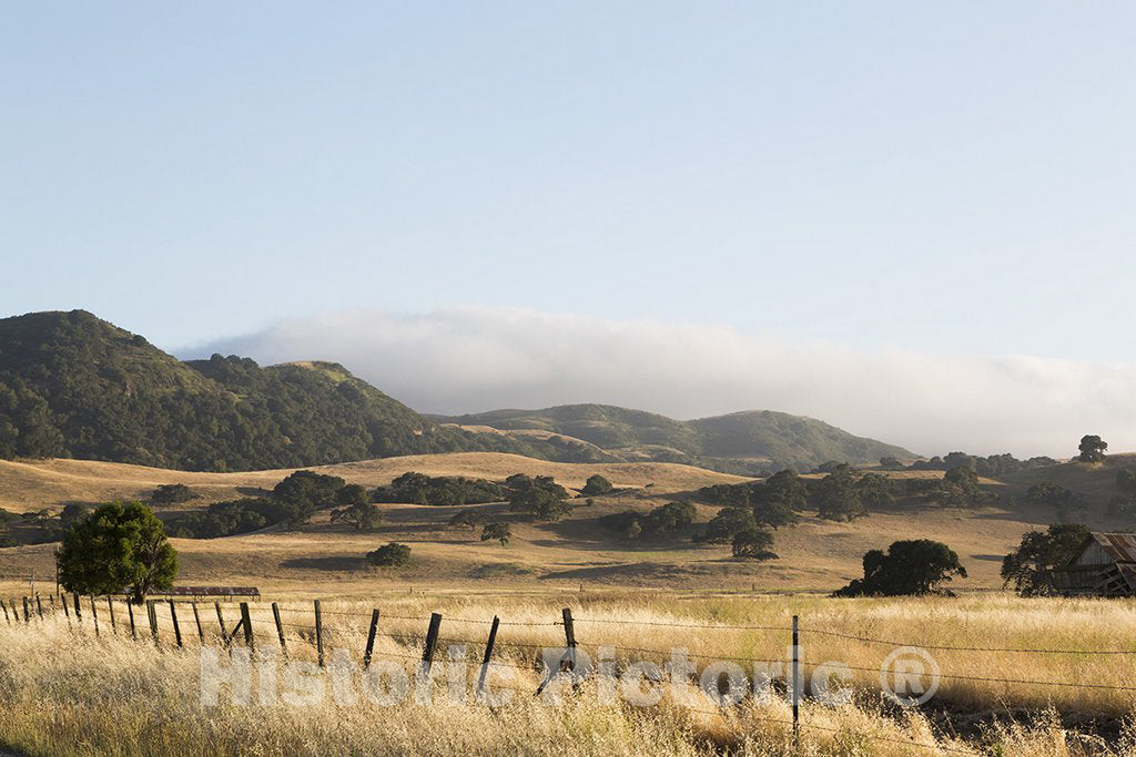 California Photo - View of Countryside in The Paso Robles/Templeton/Alacadero Region,CA