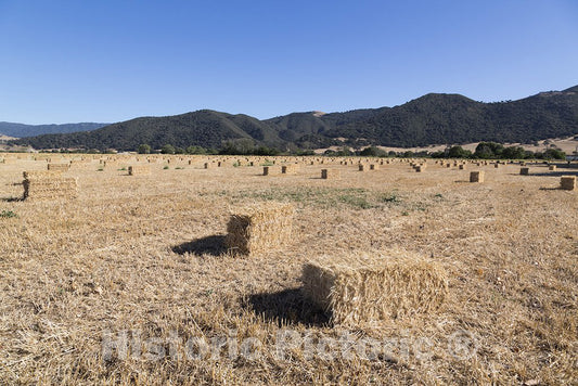 Santa Ynez, CA Photo - Farmland in Santa Ynez, California