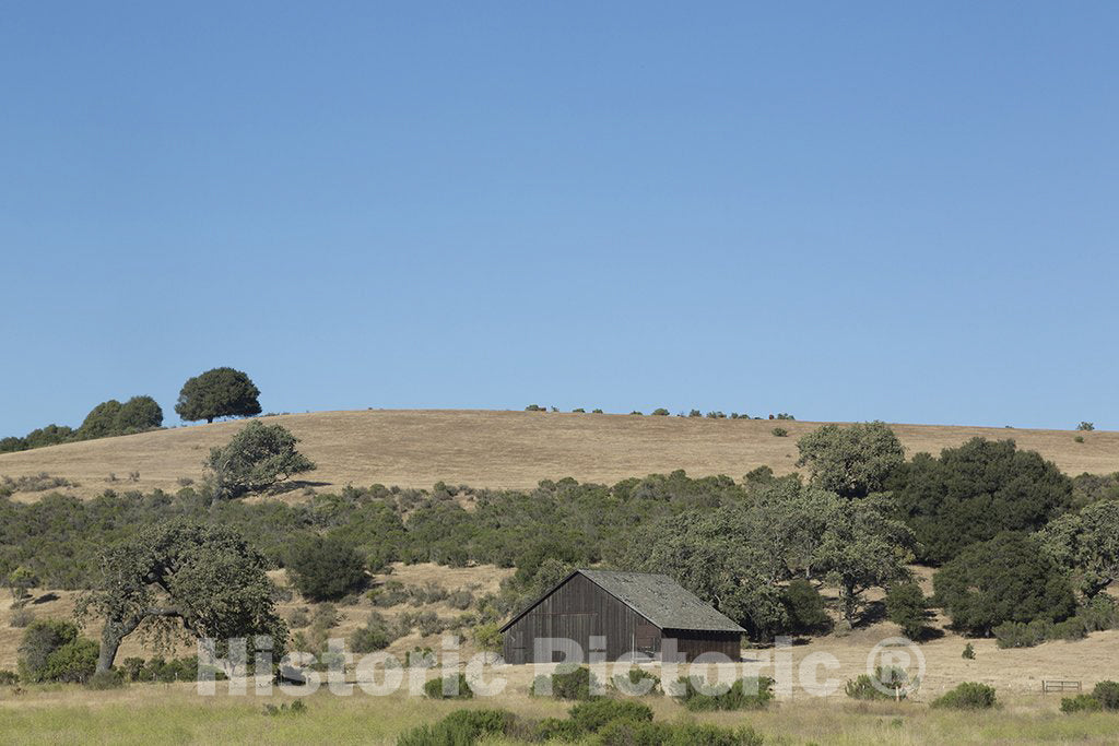 Buellton, CA Photo - Farm Scene in Buellton, California