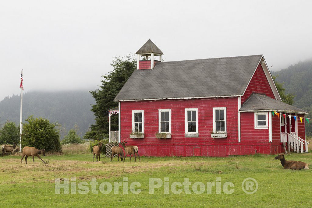 California Photo - Stone Lagoon School Along The Pacific Coast Highway in Northern California