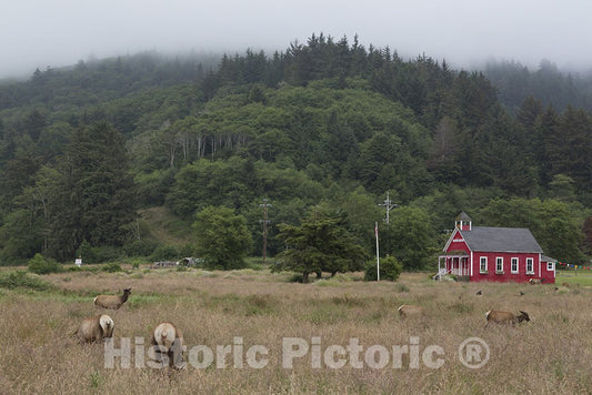 California Photo - Northern California Along The Pacific Coast Highway