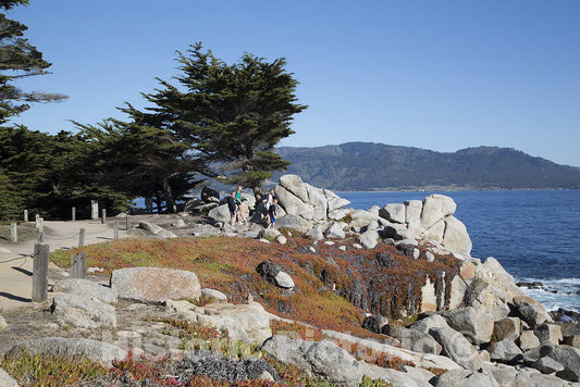 Monterey County, CA Photo - Views Along 17-Mile Drive, a Scenic Road Through Pacific Grove and Pebble Beach on The Monterey Peninsula in California