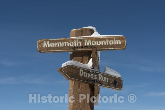 Mammoth Lakes, CA Photo - Signs for Mammoth Mountain and Dave's Run at ski area, Mammoth Lakes, CA
