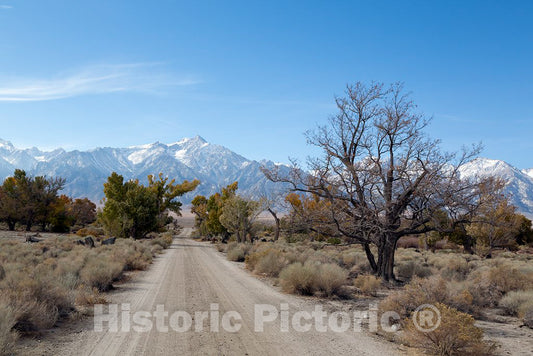 Photo - Road, Manzanar War Relocation Center, California- Fine Art Photo Reporduction