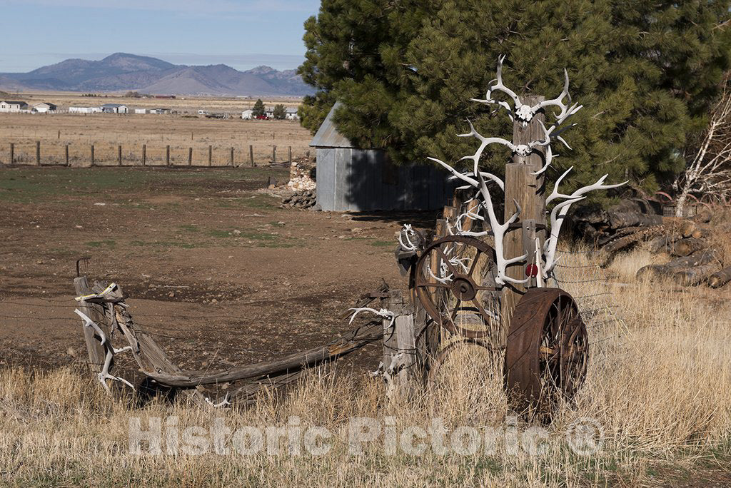 California Photo - Entrance to a Farm in Northern California is Covered in Antlers