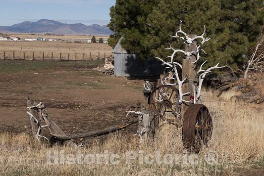 California Photo - Entrance to a Farm in Northern California is Covered in Antlers
