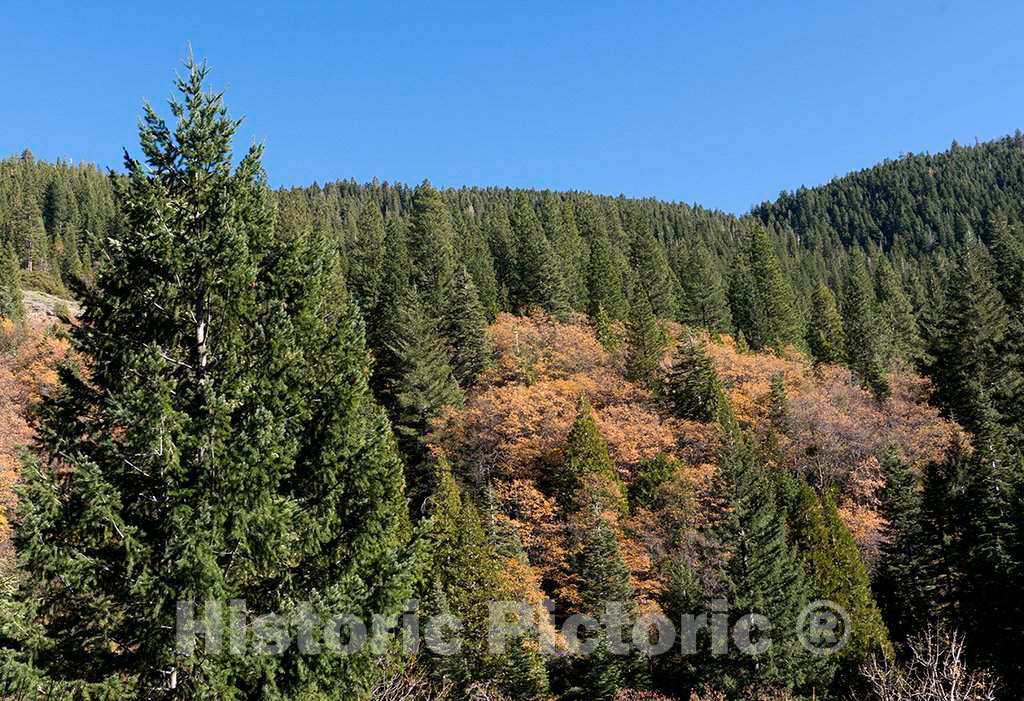 Photo - Scenic Mountain Scene in Northern California- Fine Art Photo Reporduction
