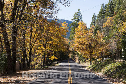 Sierra City, CA Photo - Road, Sierra City, California