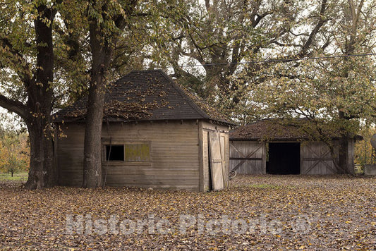 Walnut Grove, CA Photo - Barn Along The Sacramento River and Along The Road Near Walnut Grove, CA