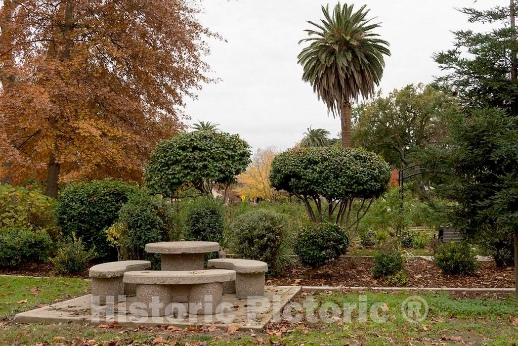 Photo- Park in Sacramento, The Capital City of The U.S. State of California and The County seat of Sacramento County 1 Fine Art Photo Reproduction