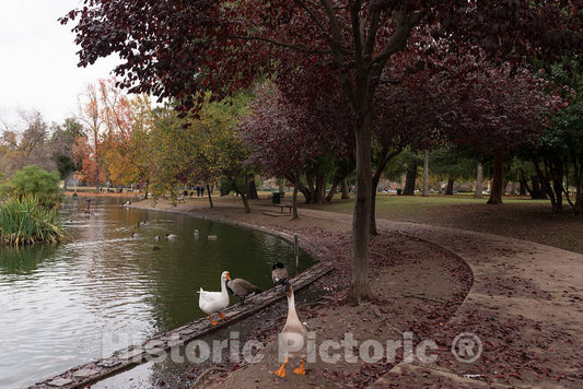 Photo- Park in Sacramento, The Capital City of The U.S. State of California and The County seat of Sacramento County 2 Fine Art Photo Reproduction