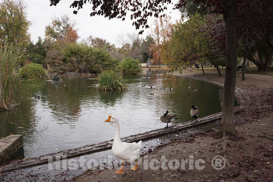 Sacramento, CA Photo - Park in Sacramento, The Capital City of The U.S. State of California and The County seat of Sacramento County