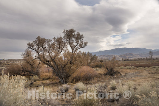 Scenic View in Northern California - Photo