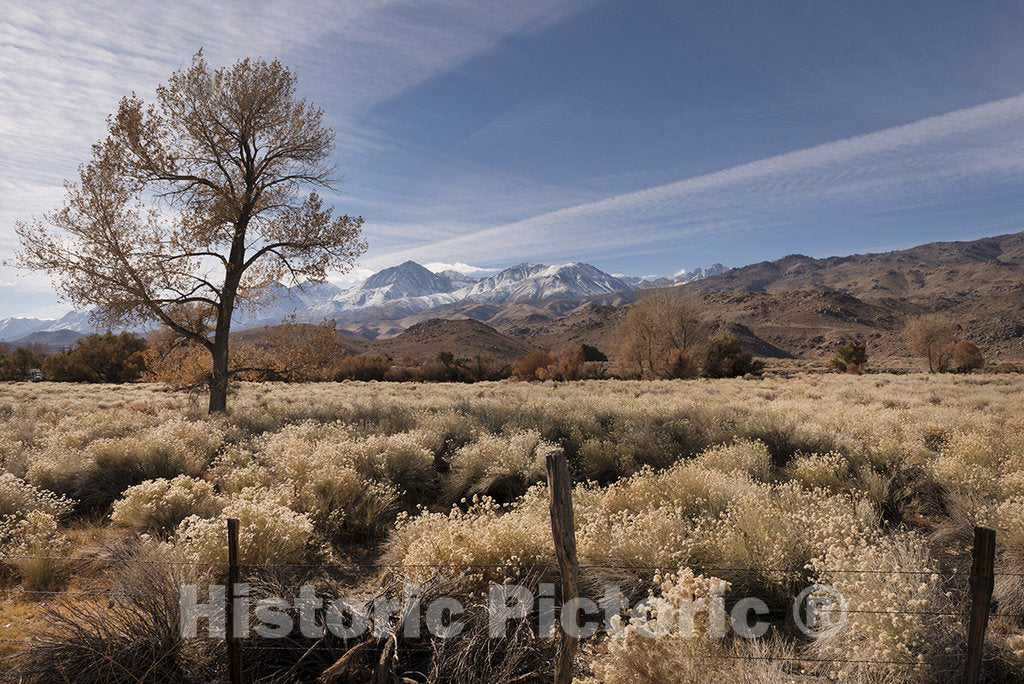 California Photo - Scenic view in Northern California
