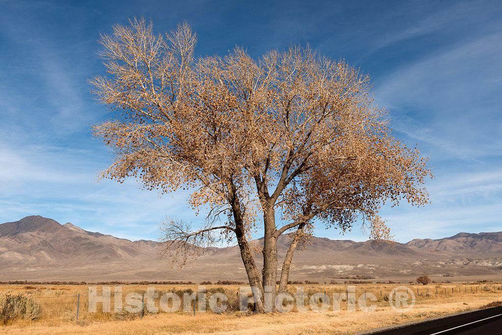Photo - Scenic view in Northern California- Fine Art Photo Reporduction