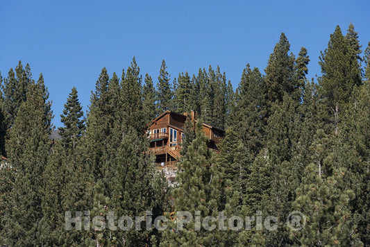Truckee, CA Photo - A Wooden House nestled in The Trees in Truckee, California