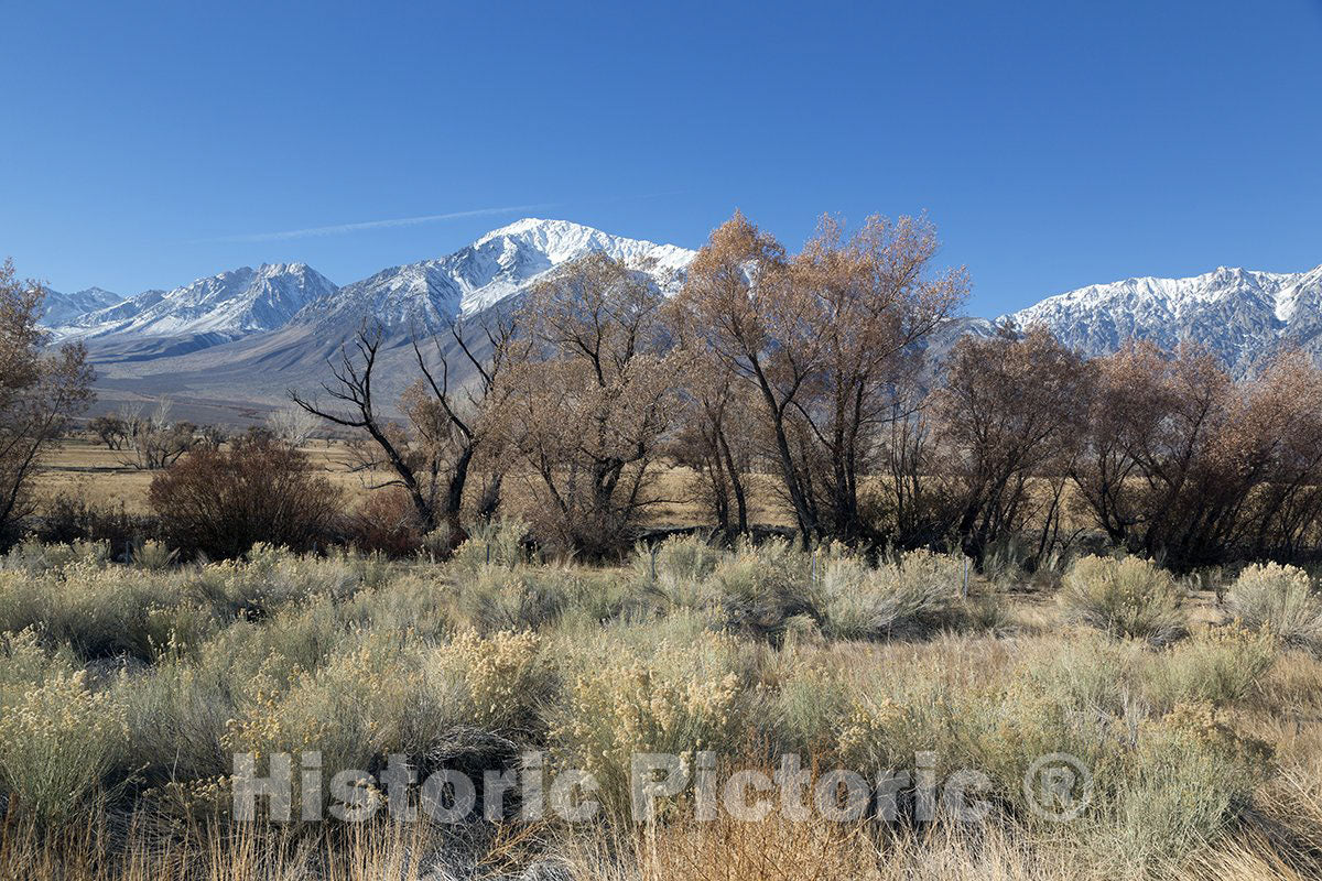 Scenic View in Northern California - Photo