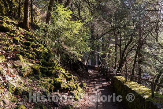 Photo - Steep stairway to the waterfall at MacArthur-Burney Falls Memorial State Park in California- Fine Art Photo Reporduction