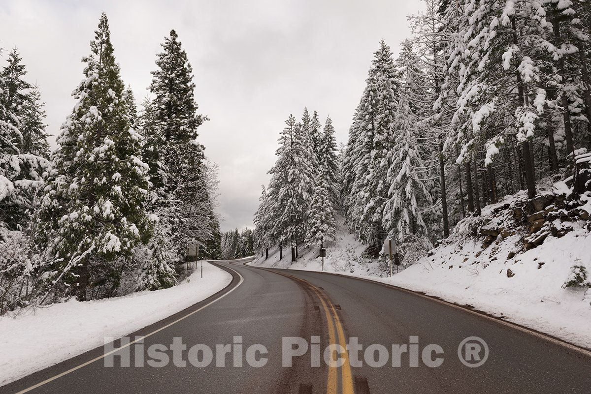 California - 16x24 Photo - A Living SNO-Globe Scene and Winter Wonderland, Created by a Sudden Mountain Blizzard Along California Highway 36-
