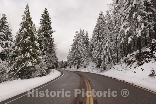 California - 16x24 Photo - A Living SNO-Globe Scene and Winter Wonderland, Created by a Sudden Mountain Blizzard Along California Highway 36-