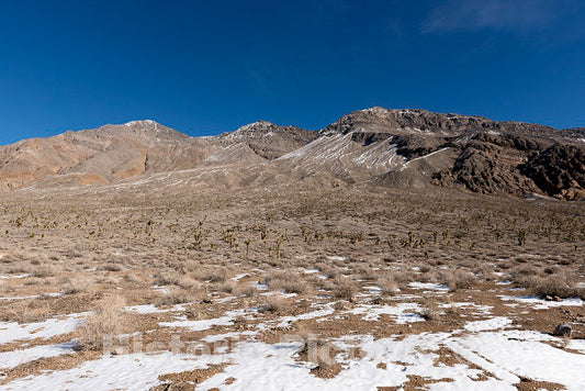 Photo- This is Obviously not The stereotypical Sun-parched Summer Day in Death Valley 1 Fine Art Photo Reproduction