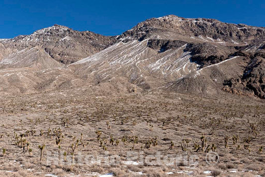 Photo- This is obviously not the stereotypical sun-parched summer day in Death Valley 2 Fine Art Photo Reproduction