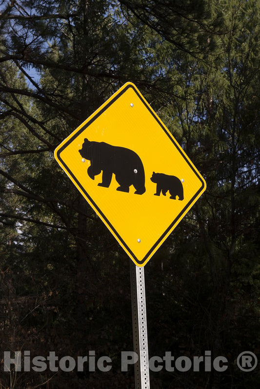 California Photo - One of What are Fairly Common Bear-Crossing Signs in CA's Sierra Mountains
