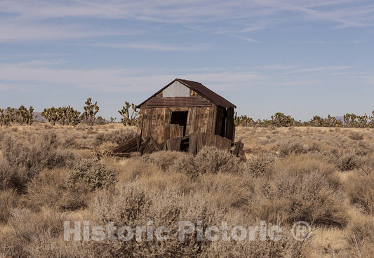 California Photo - Abandoned Cabin Near The Ghost Town of CIMA in The Mojave National Preserve in California