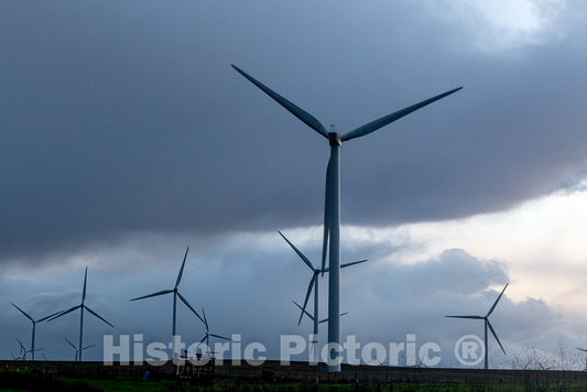 Photo- A Wind Farm Off California Rt. 12 Near Rio Vista in Solano County, California 1 Fine Art Photo Reproduction