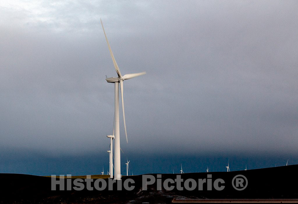 Photo- A Wind Farm Off California Rt. 12 Near Rio Vista in Solano County, California 2 Fine Art Photo Reproduction
