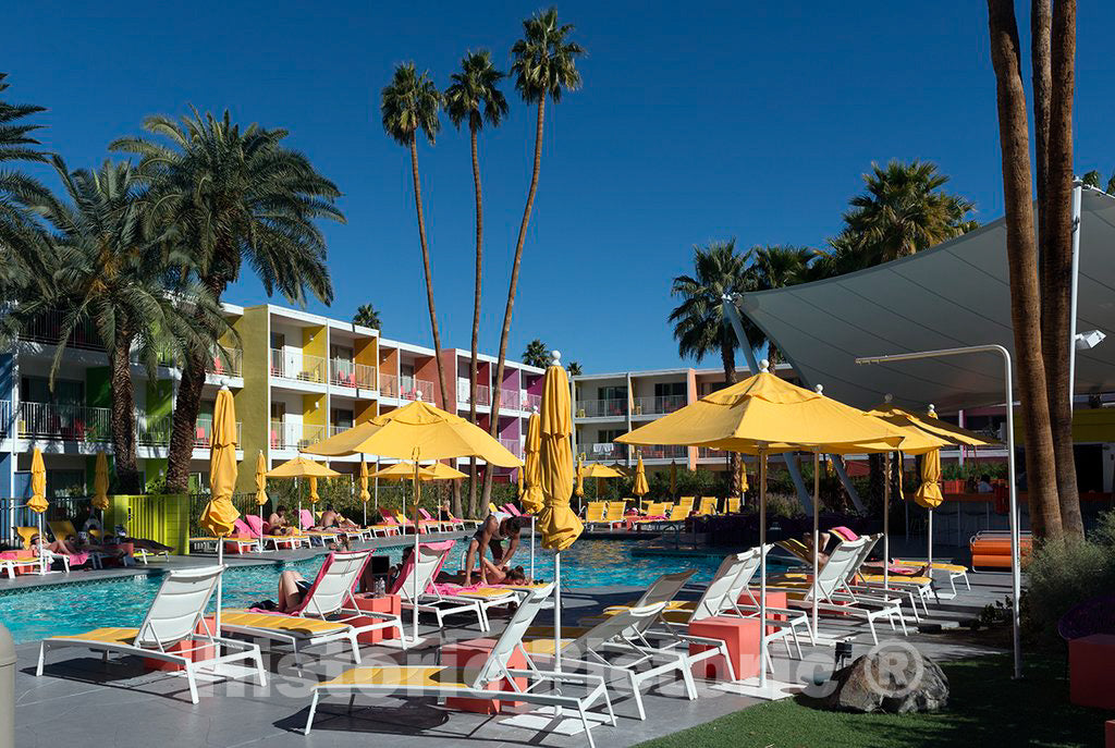 Photo - The pool at the colorful Saguaro Hotel in Palm Springs, California- Fine Art Photo Reporduction
