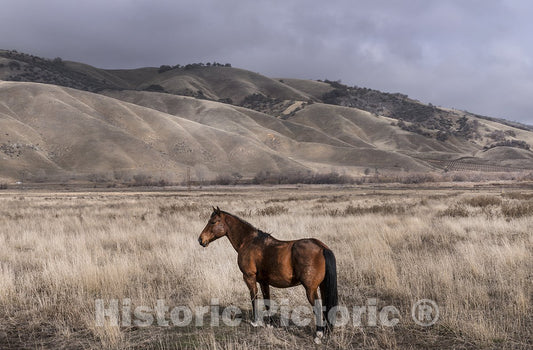 Lebec, CA Photo - California's Fort Tejon State Park-