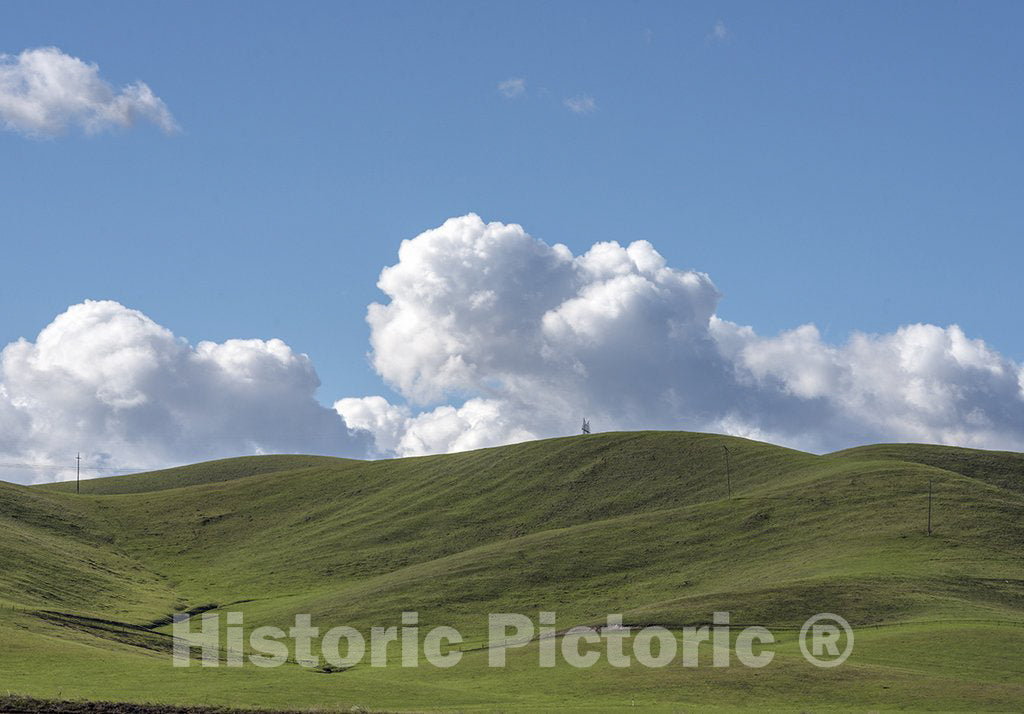 California Photo - View of The Verdant San Joaquin Valley Near Gustine in Merced County, CA
