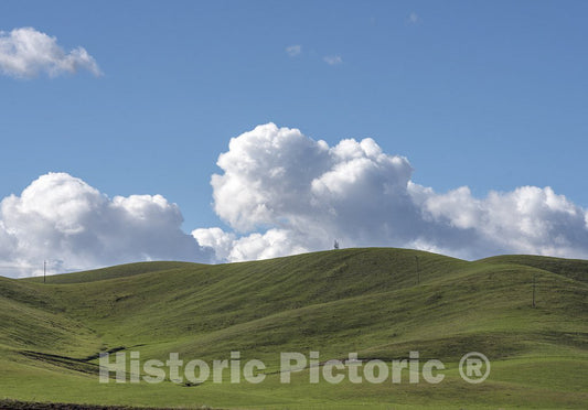 California Photo - View of The Verdant San Joaquin Valley Near Gustine in Merced County, CA
