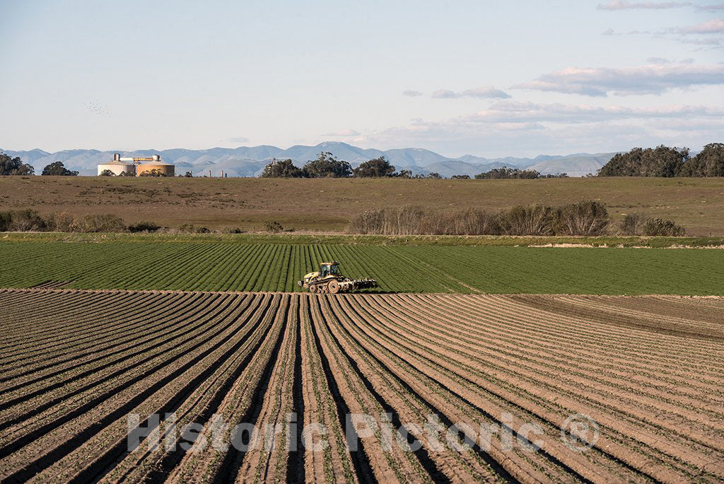 California Photo - Crop Rows in San Luis Obispo County, California
