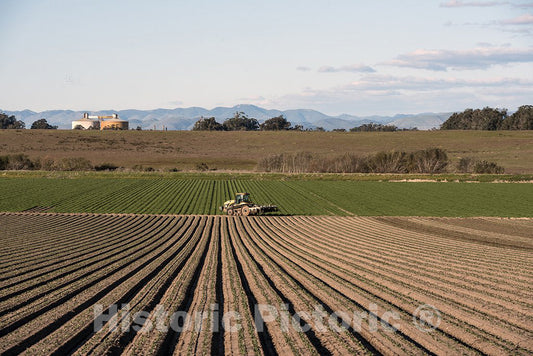 California Photo - Crop Rows in San Luis Obispo County, California