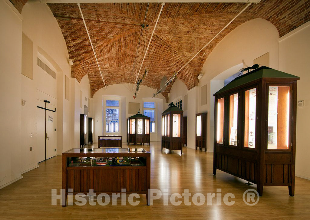 Photo - Exhibit Area, U.S. Custom House in New Orleans, Louisiana- Fine Art Photo Reporduction
