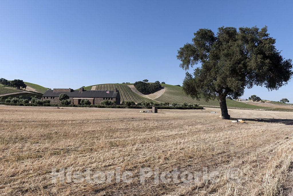 Paso Robles, CA Photo - Farm Scene in Paso Robles, California